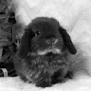 Meet your Posher, Beatriz